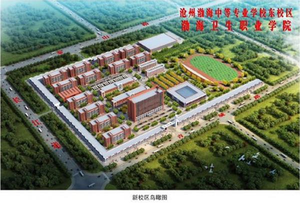 沧州学幼师为什么选择沧州渤海专修学院？